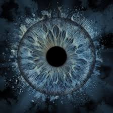 Hand chopper Manual Food Chopper, 2000ML/1.5 Liter/900 ML/330 ML Speedy Chopper with 3 Curved Stainless Steel Blades, Handheld Vegetable Chopper/Mincer/Mixer/Blender to Chop Fruits Onions/Nuts/Ginger/Herbs/Garlics/Meet